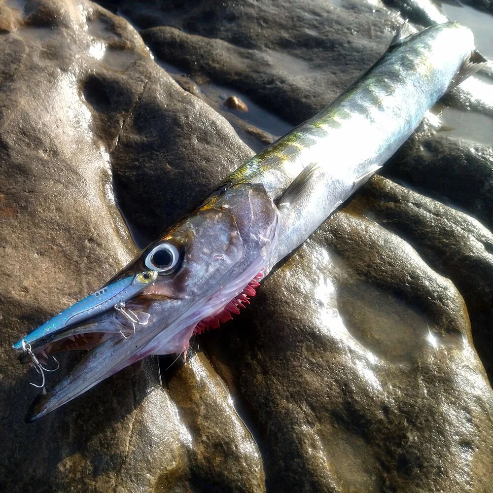 Рыболовная приманка GOBAIT VIB – обзор и цена Fishing Hook Treble